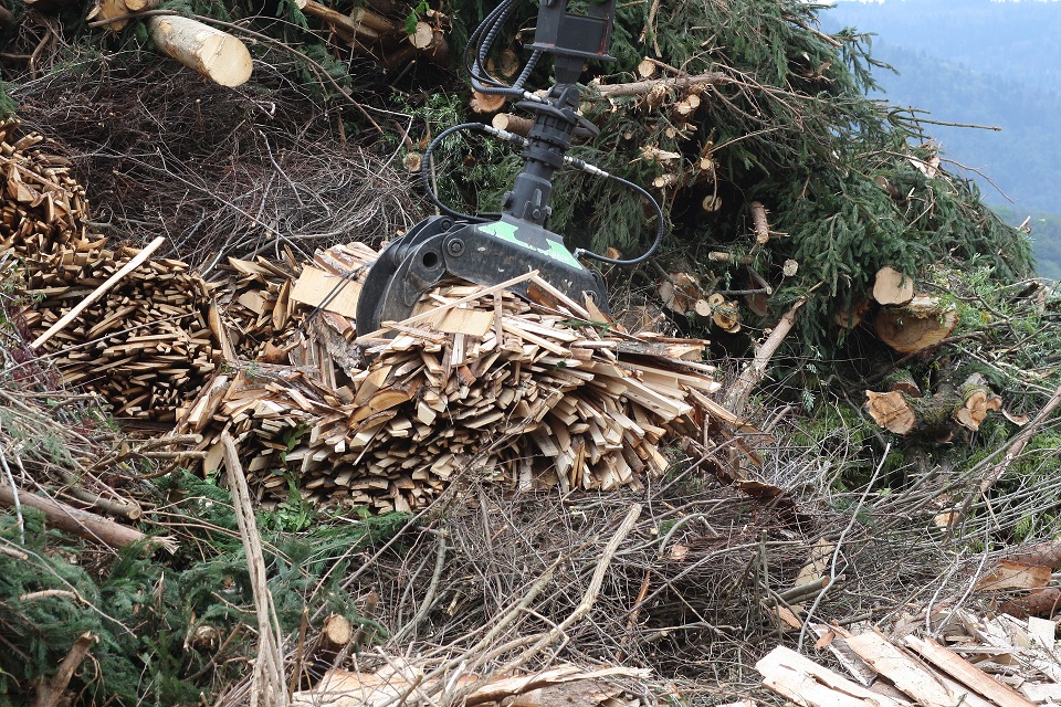 Biomasse wood 1894339 1920