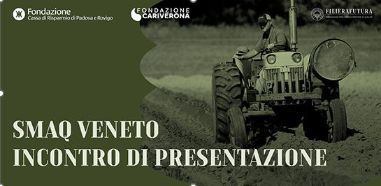 Trattore sfalcio tractor 6309106 1920