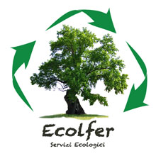 Ecolfer logo