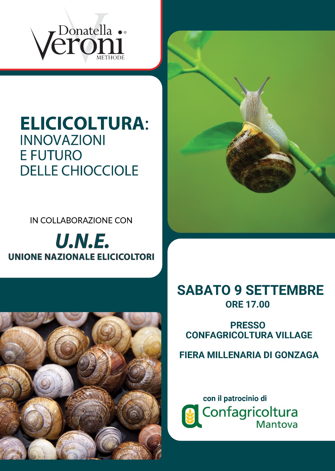 Elicicoltura Mantova