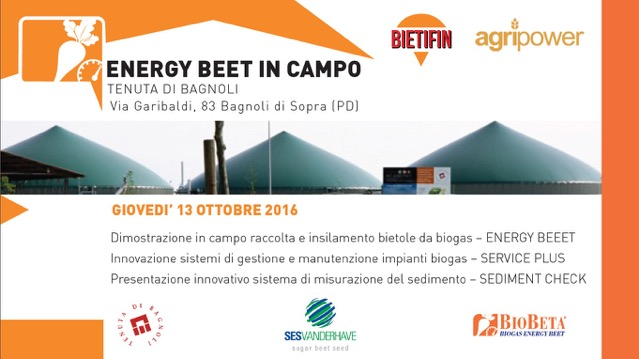 EnergyBeet in Campo
