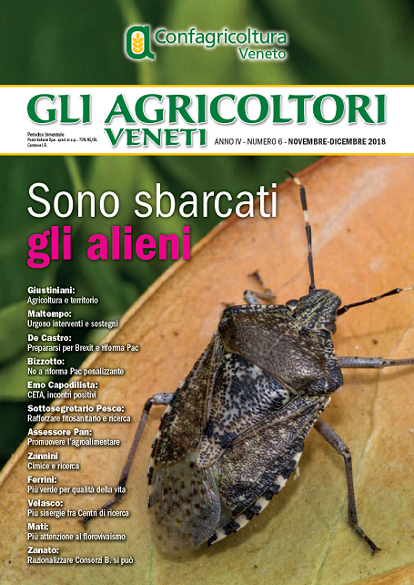GliAgriVen18 6