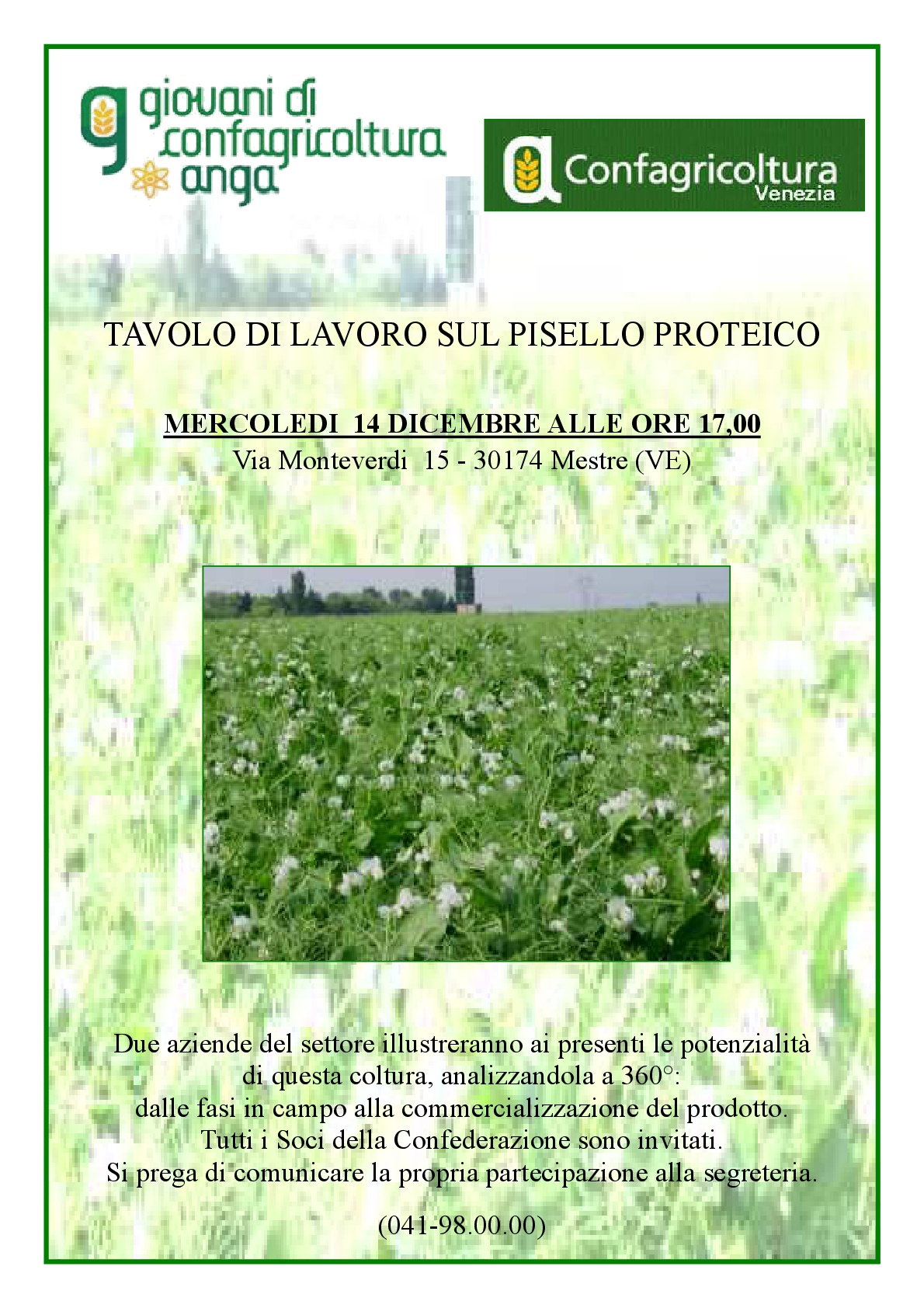 LOCANDINA PISELLO PROTEICO 1 001