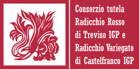 RADICCHIO DI CASTELFRANCO