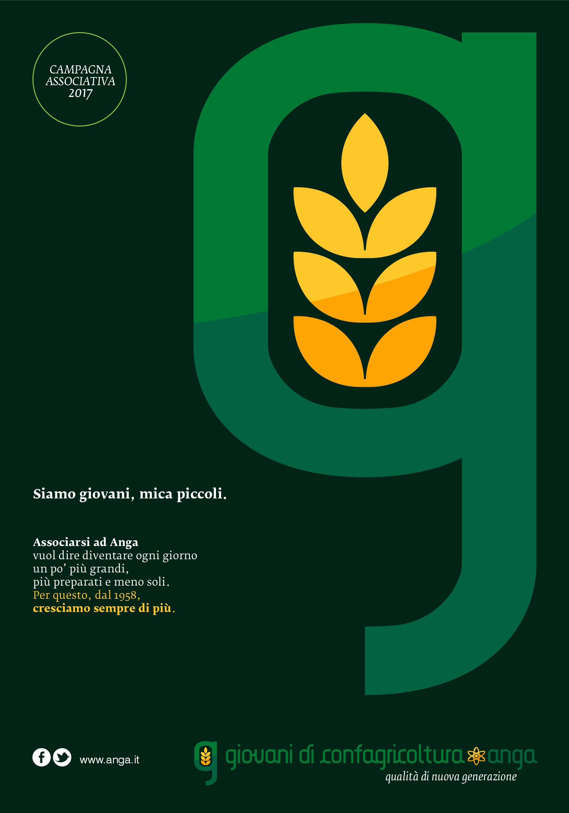anga affiche 3 1 001