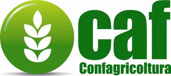 cafconf 600x267