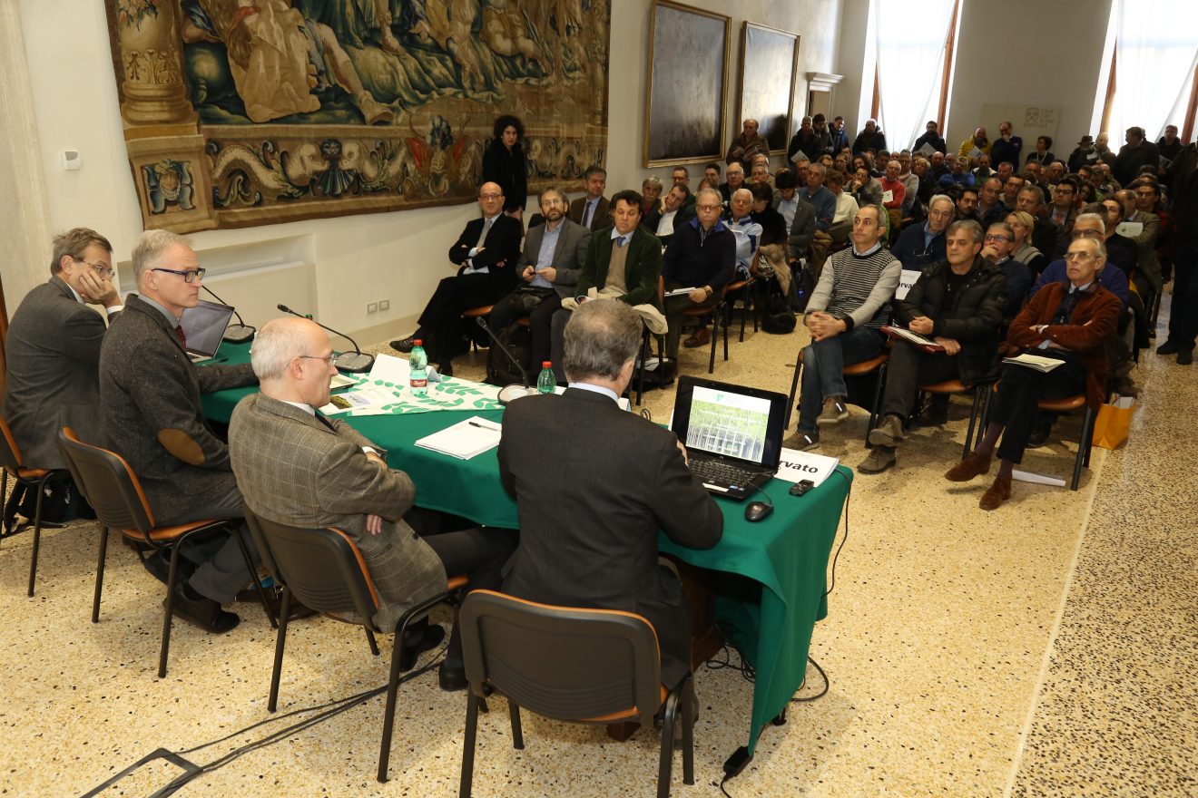 convegno pioppi veneto 1320x880