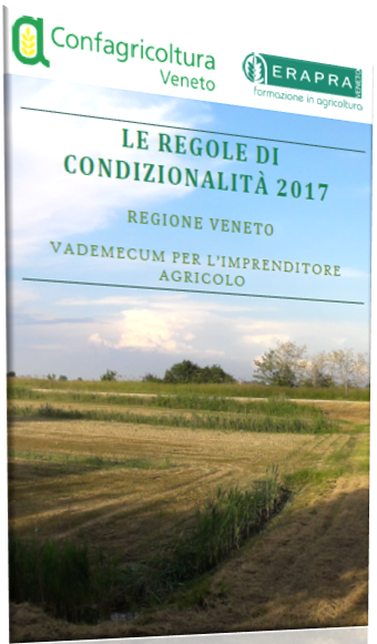 copertina condizionalita 2017