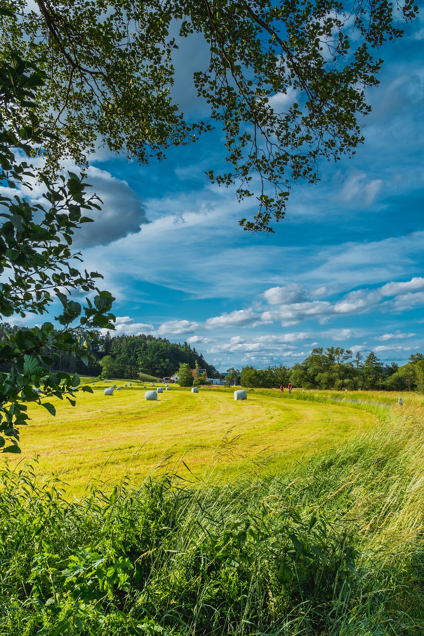 copertina campo photo
