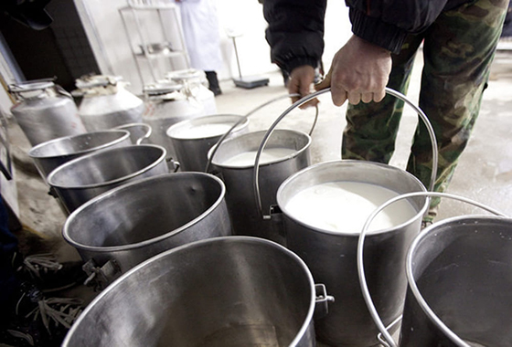 produzione latte