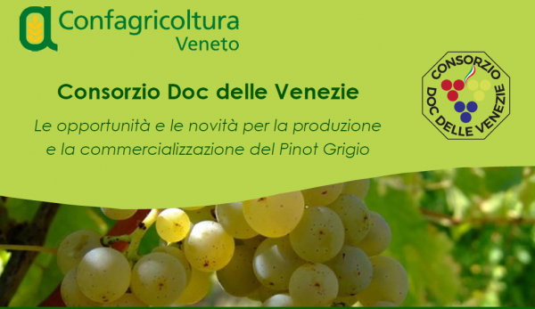 invito consorzio pinot grigio confagricoltura 600x347