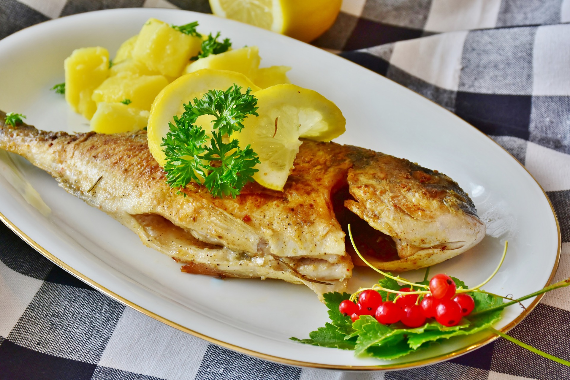 pesce fish 3483465 1920