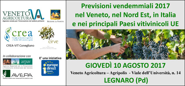 previsioni vendemmia 2017 copertina