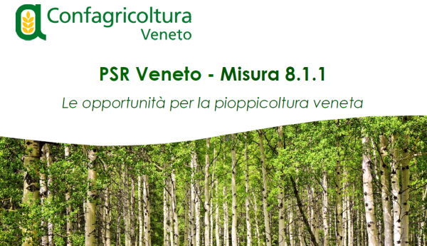 psr 811 600x345