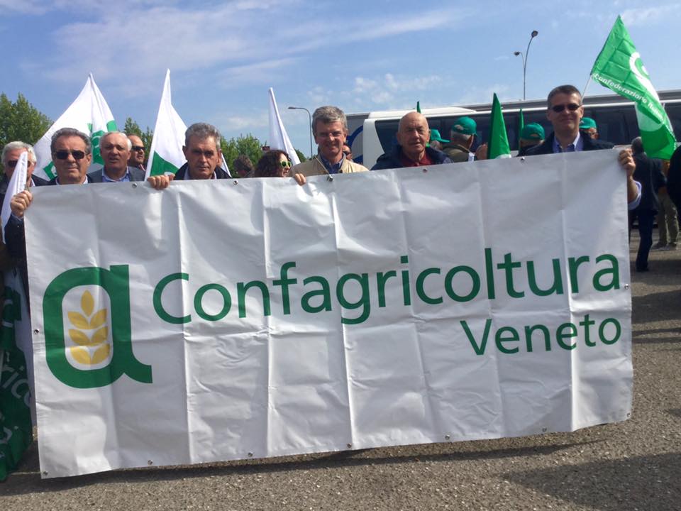 veneto manif bologla