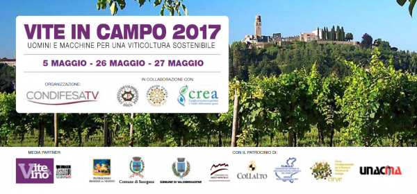 vite in campo 17 600x280