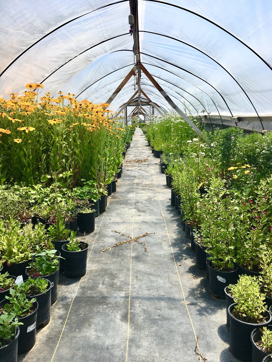 lavoro farmer 657333 1280