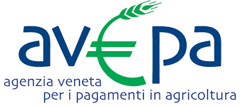 AVEPA logo download