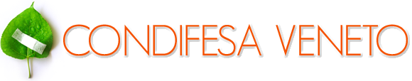 Condifesa Veneto