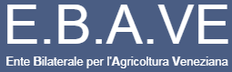 EBAVE