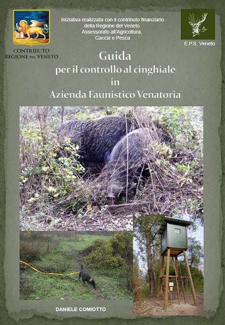 Guida al controllo del cinghiale in AFV