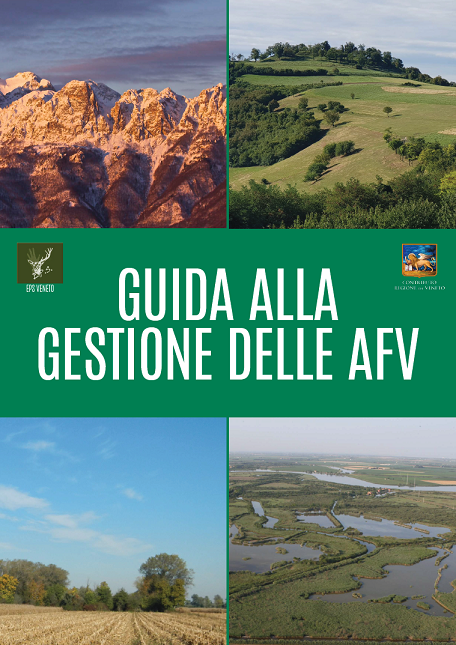 Guida alla gestione delle AFV