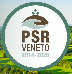 PSR 2021-2022: misure, risorse e programma dei bandi