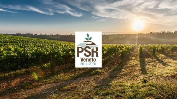 Psr 1 600x337