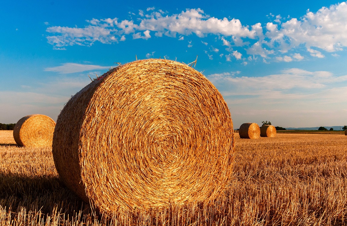 campo straw bales 726976 1920