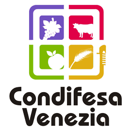 condifesave3
