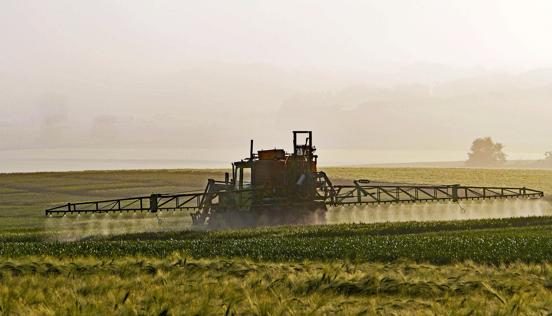 fitosanitari agriculture 1359862 1920