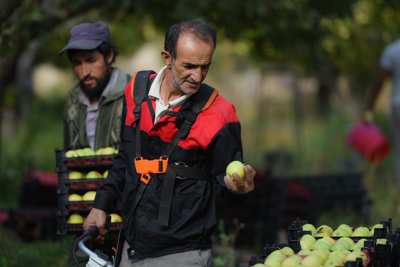 lavoro photo 1507821455154 622e65d8ed08