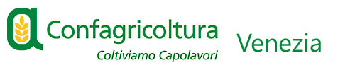 newlogo