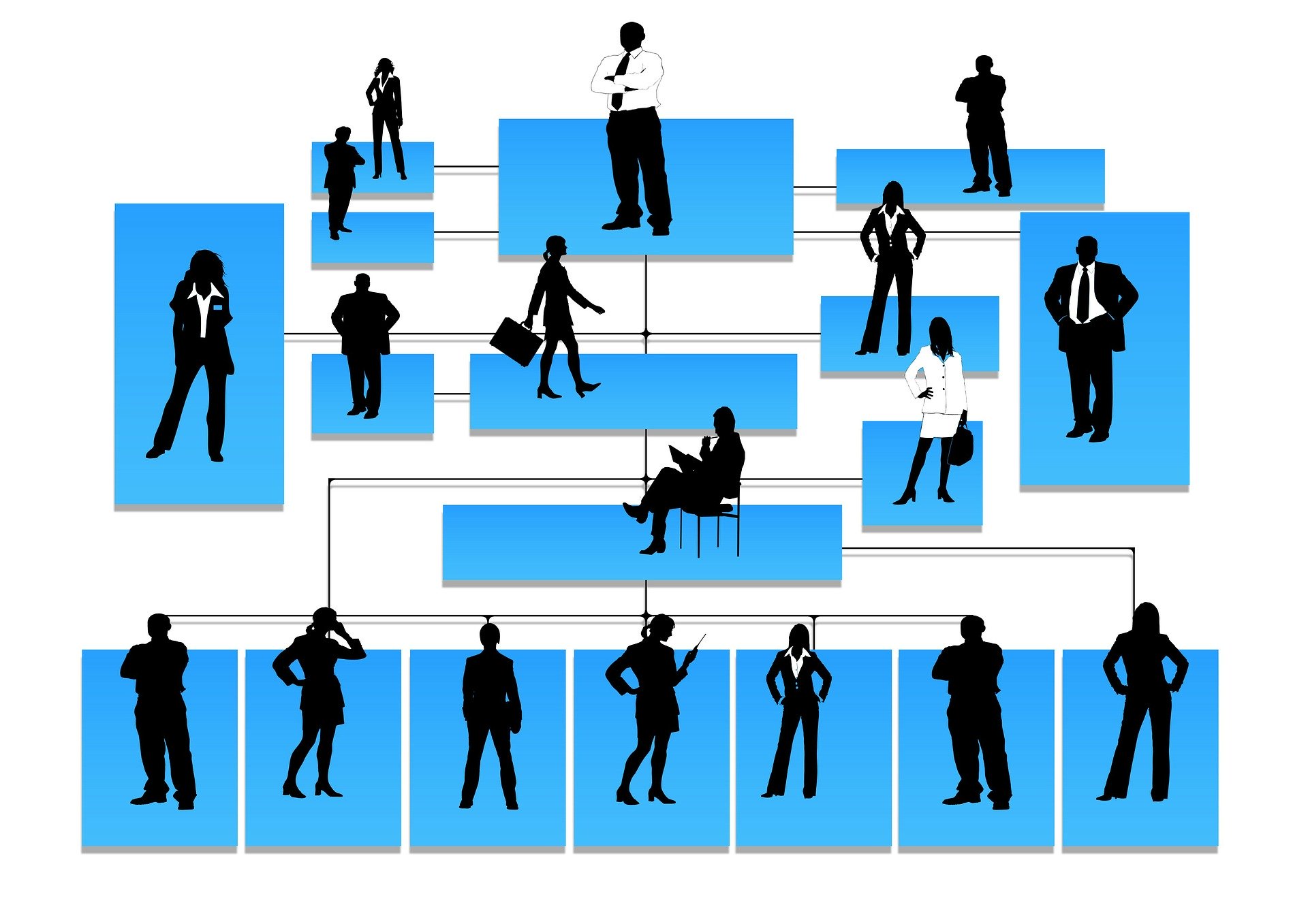 organigramma silhouettes 81830 1920