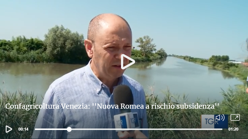 romea augusti