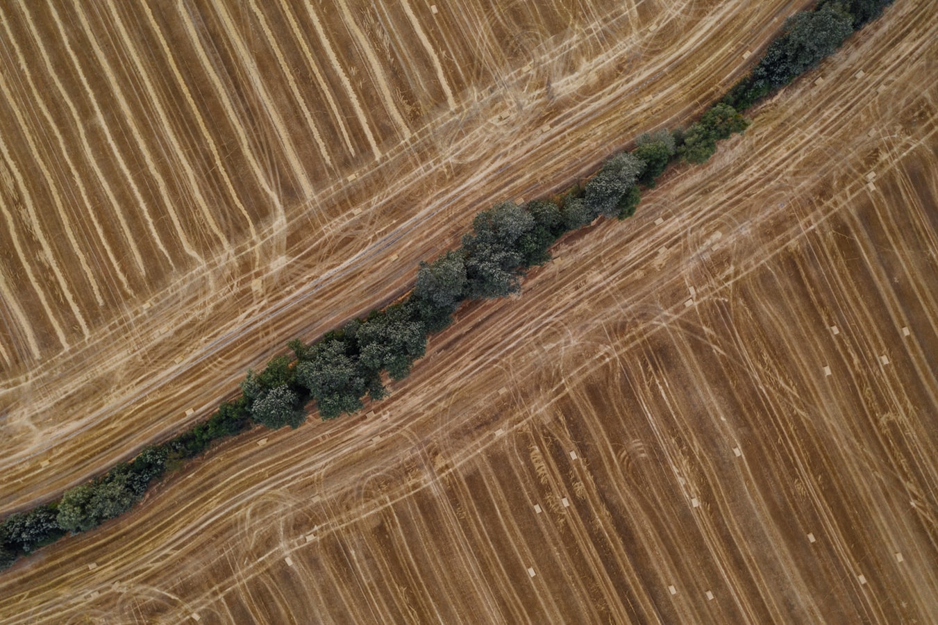 siepe agricola photo 1566688858967 d773405c7484